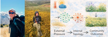 Vegetration Network Shifts