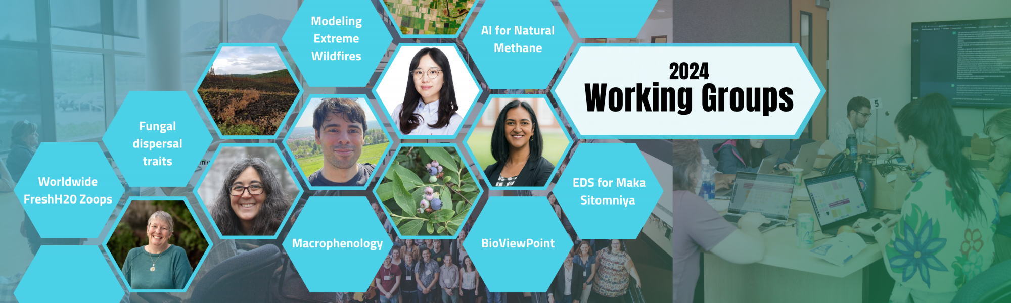 Working Groups | ESIIL